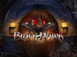Black Hawk screenshot